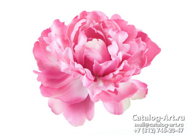 Натяжные потолки с фотопечатью - Розовые цветы 77